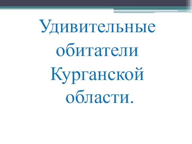 Удивительные обитатели Курганской области.