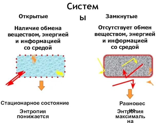 Отсутствует обмен веществом, энергией и информацией со средой Наличие обмена веществом,