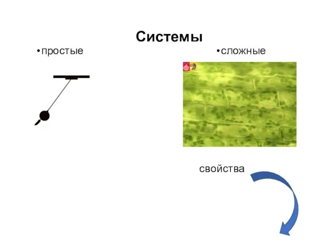 Системы простые сложные свойства