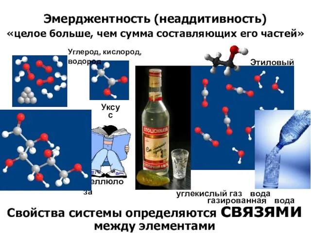 Свойства системы определяются связями между элементами Глюкоза углекислый газ вода Этиловый