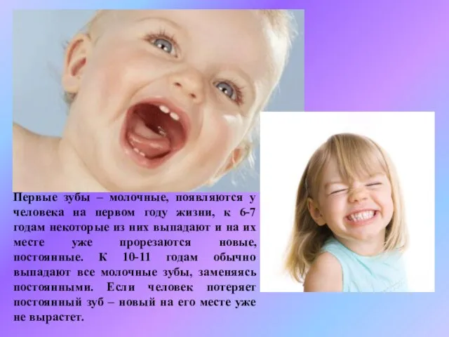Первые зубы – молочные, появляются у человека на первом году жизни,