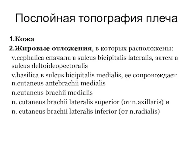 Послойная топография плеча Кожа Жировые отложения, в которых расположены: v.cephalica сначала