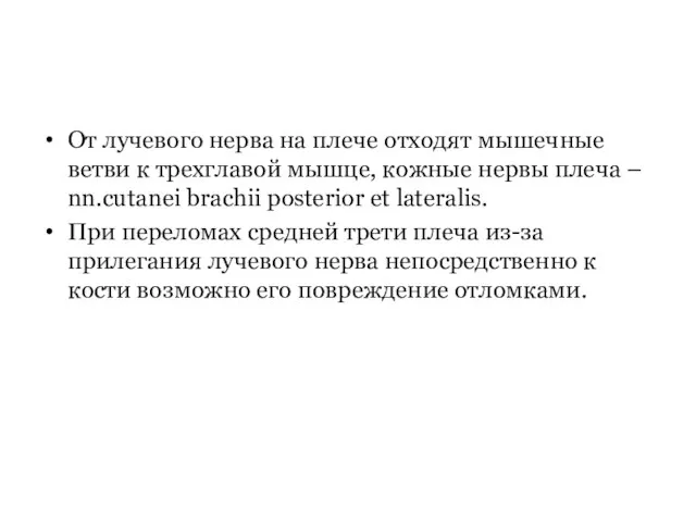 От лучевого нерва на плече отходят мышечные ветви к трехглавой мышце,