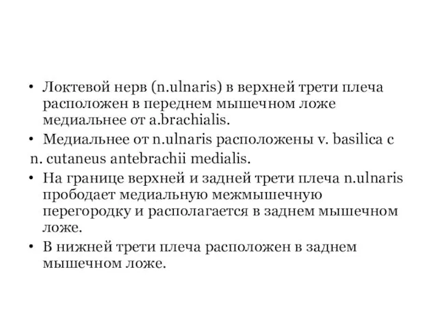 Локтевой нерв (n.ulnaris) в верхней трети плеча расположен в переднем мышечном