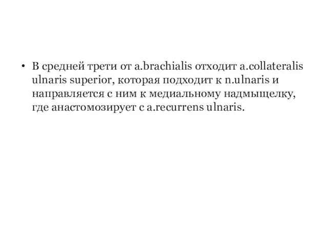 В средней трети от a.brachialis отходит a.collateralis ulnaris superior, которая подходит