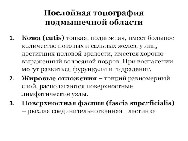 Послойная топография подмышечной области Кожа (cutis) тонкая, подвижная, имеет большое количество