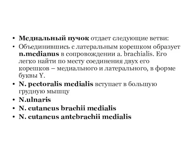 Медиальный пучок отдает следующие ветви: Объединившись с латеральным корешком образует n.medianus