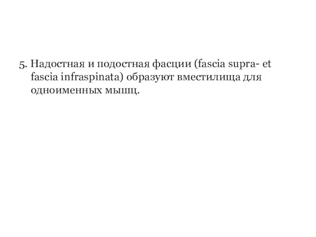 5. Надостная и подостная фасции (fascia supra- et fascia infraspinata) образуют вместилища для одноименных мышц.