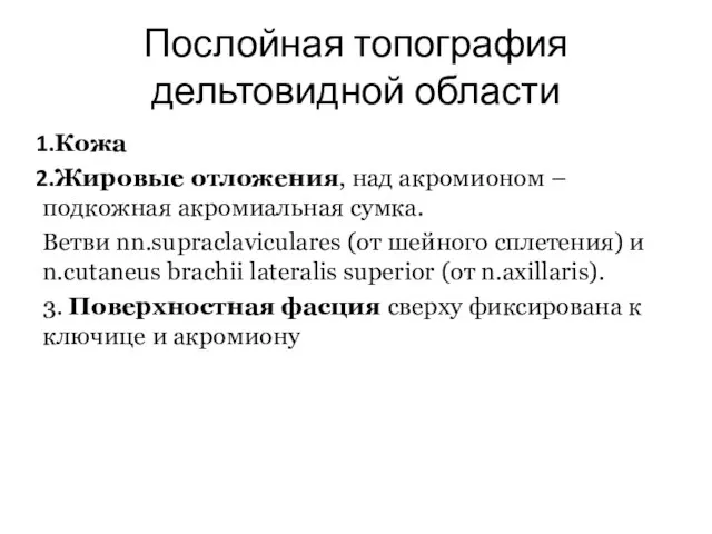 Послойная топография дельтовидной области Кожа Жировые отложения, над акромионом – подкожная