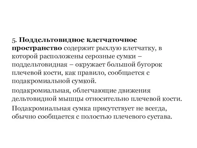 5. Поддельтовидное клетчаточное пространство содержит рыхлую клетчатку, в которой расположены серозные