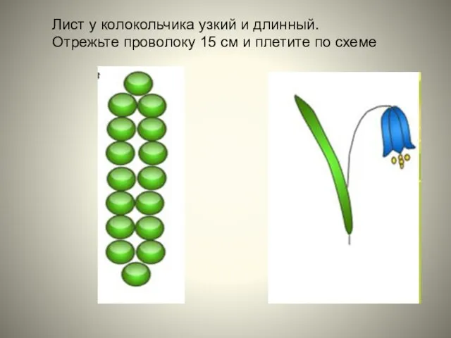Лист у колокольчика узкий и длинный. Отрежьте проволоку 15 см и плетите по схеме