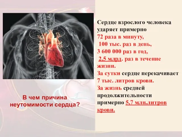 Сердце взрослого человека ударяет примерно 72 раза в минуту, 100 тыс.