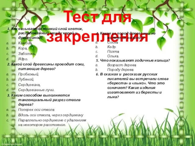 Тест для закрепления 1. Как называется тонкий слой клеток, расположенный между