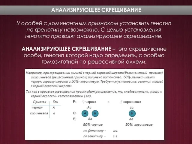 У особей с доминантным признаком установить генотип по фенотипу невозможно. С