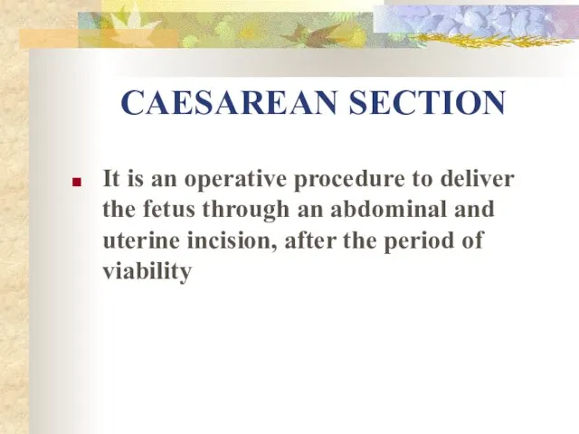 CAESAREAN SECTION It is an operative procedure to deliver the fetus