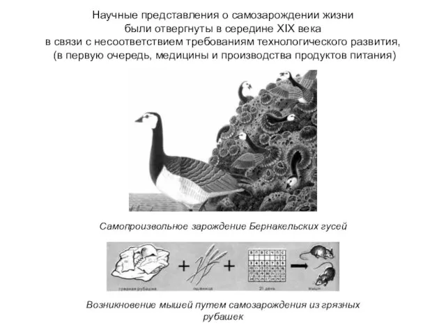 Научные представления о самозарождении жизни были отвергнуты в середине XIX века