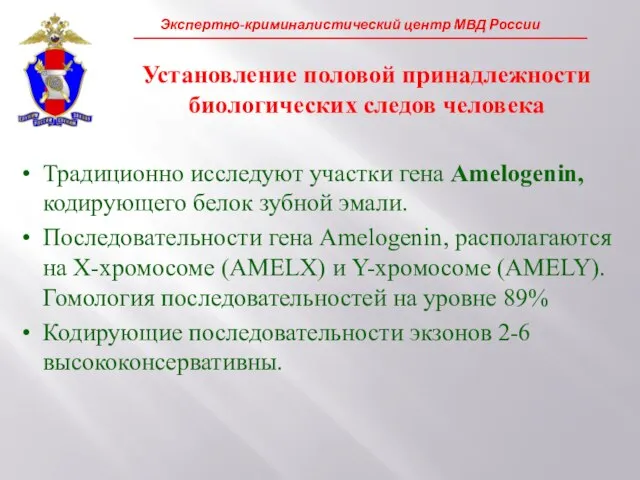 Традиционно исследуют участки гена Amelogenin, кодирующего белок зубной эмали. Последовательности гена