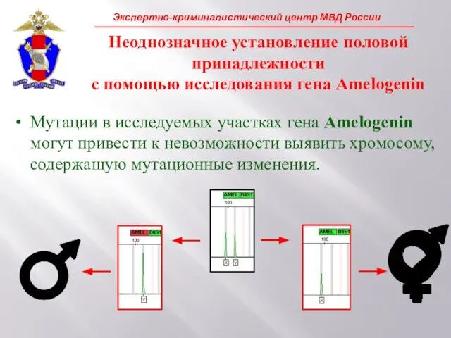 Мутации в исследуемых участках гена Amelogenin могут привести к невозможности выявить