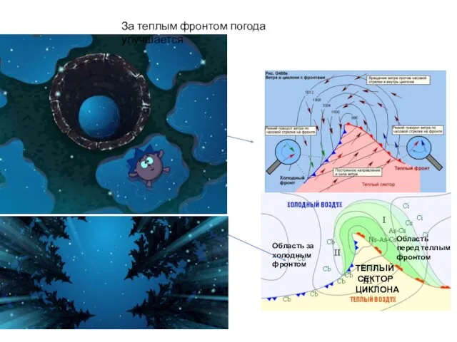 ТЕПЛЫЙ СЕКТОР ЦИКЛОНА Область перед теллым фронтом Область за холодным фронтом За теплым фронтом погода улучшается