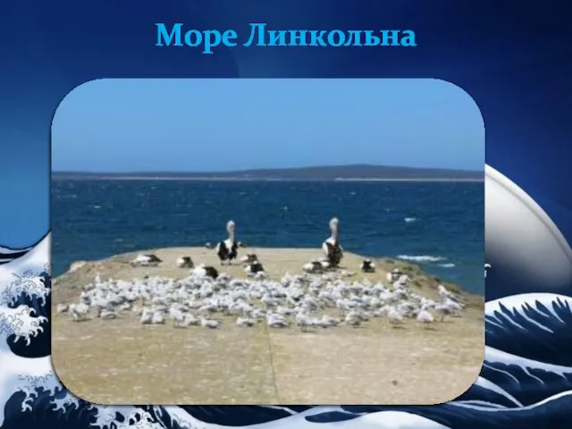 Море Линкольна