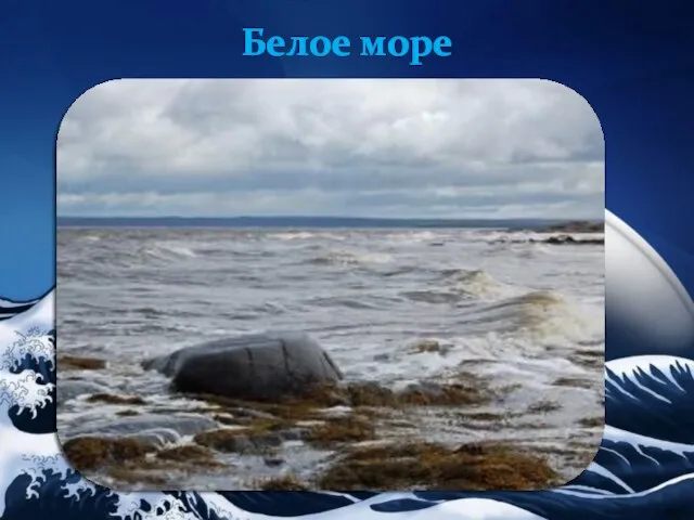 Белое море