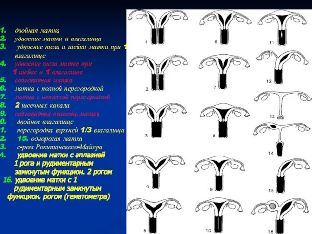 двойная матка удвоение матки и влагалища удвоение тела и шейки матки