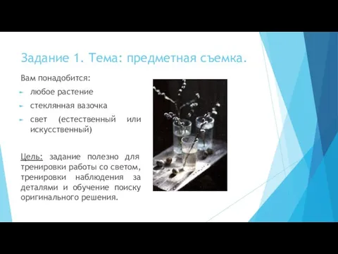 Задание 1. Тема: предметная съемка. Вам понадобится: любое растение стеклянная вазочка