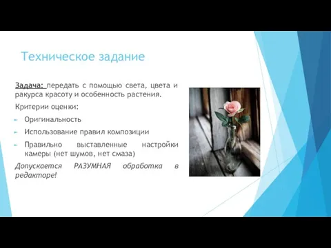 Техническое задание Задача: передать с помощью света, цвета и ракурса красоту