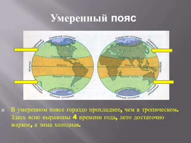 Умеренный пояс В умеренном поясе гораздо прохладнее, чем в тропическом. Здесь