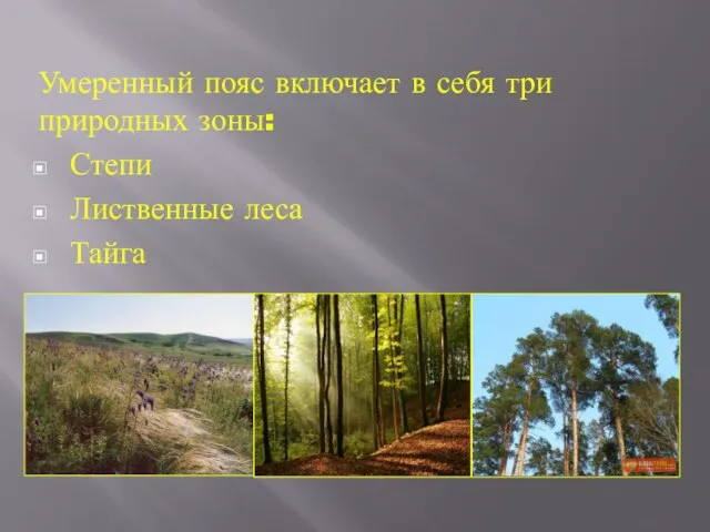 Умеренный пояс включает в себя три природных зоны: Степи Лиственные леса Тайга