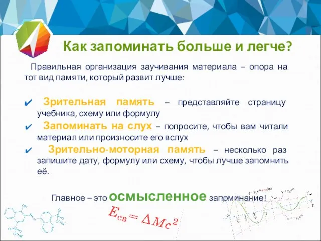 Как запоминать больше и легче? Правильная организация заучивания материала – опора