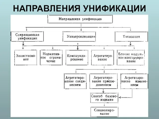 НАПРАВЛЕНИЯ УНИФИКАЦИИ