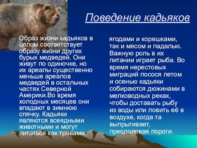 Поведение кадьяков Образ жизни кадьяков в целом соответствует образу жизни других