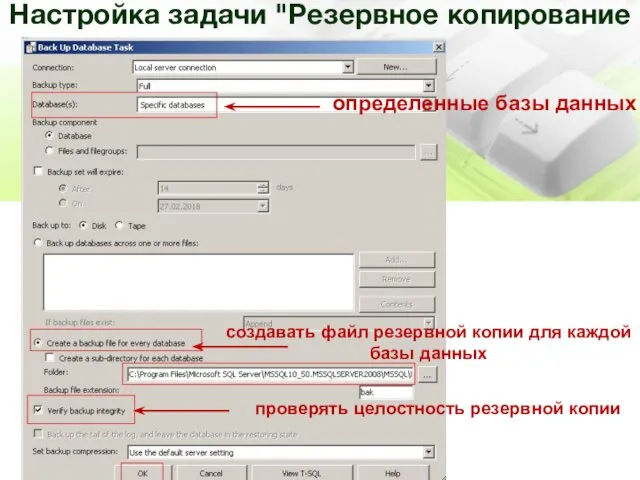 Настройка задачи "Резервное копирование базы данных " определенные базы данных создавать