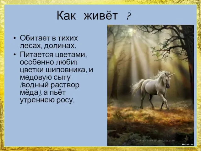 Как живёт ? Обитает в тихих лесах, долинах. Питается цветами, особенно