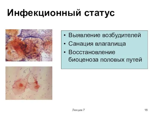 Лекция 7 Инфекционный статус Выявление возбудителей Санация влагалища Восстановление биоценоза половых путей