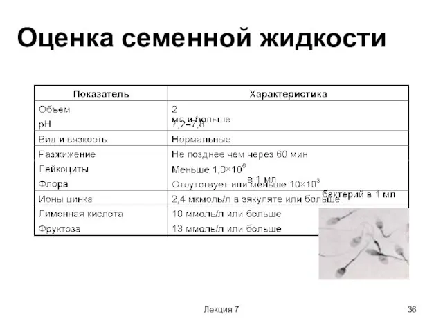 Лекция 7 Оценка семенной жидкости