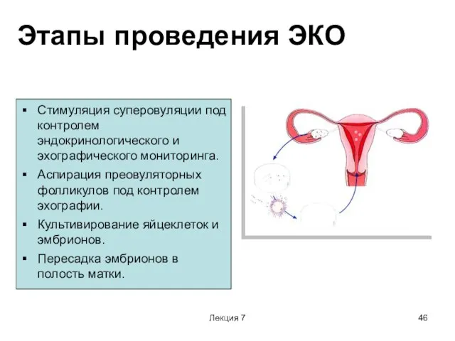 Лекция 7 Этапы проведения ЭКО Стимуляция суперовуляции под контролем эндокринологического и