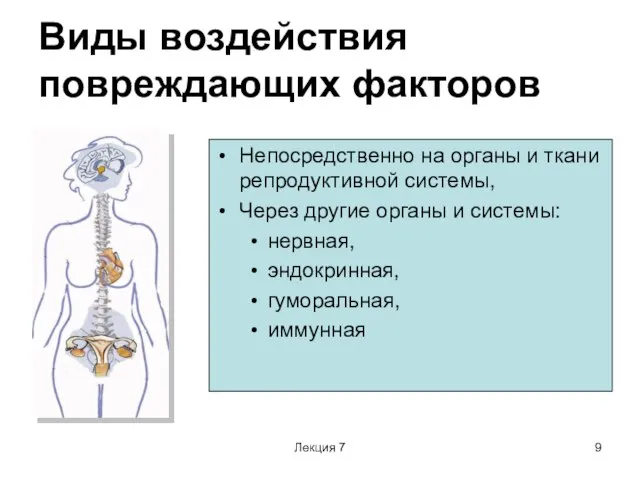 Лекция 7 Виды воздействия повреждающих факторов Непосредственно на органы и ткани