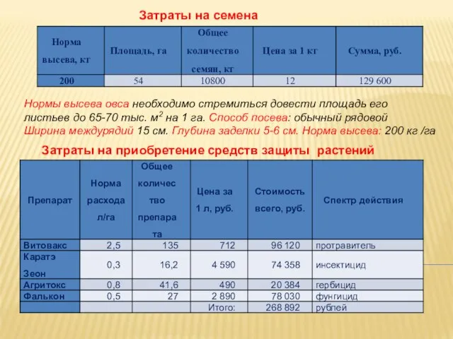 Нормы высева овса необходимо стремиться довести площадь его листьев до 65-70