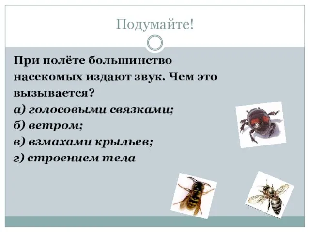 Подумайте! При полёте большинство насекомых издают звук. Чем это вызывается? а)