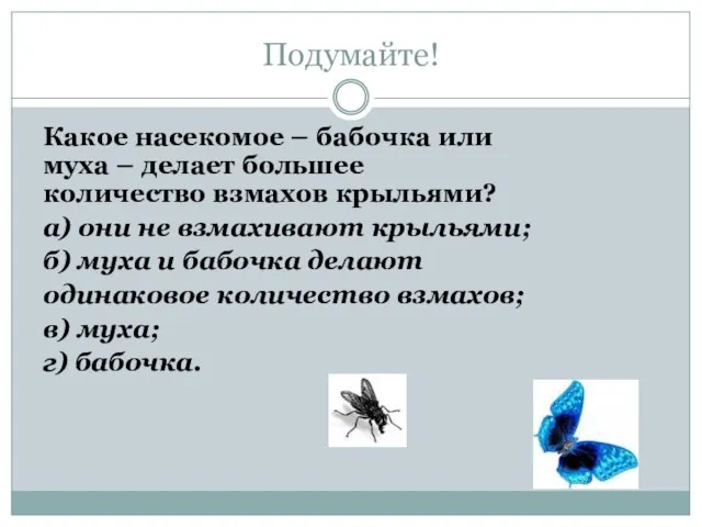 Подумайте! Какое насекомое – бабочка или муха – делает большее количество