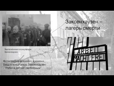 Заключённые в концлагере Заксенхаузен Заксенхаузен – лагерь смерти Фотография военного времени.