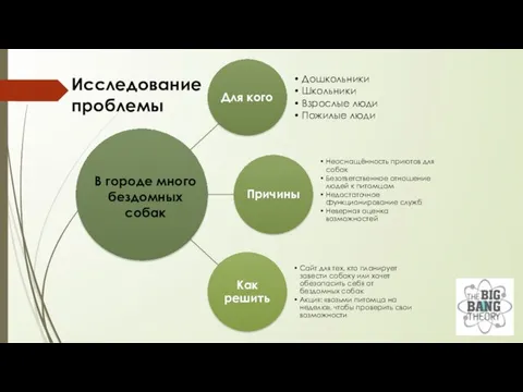 В городе много бездомных собак Исследование проблемы