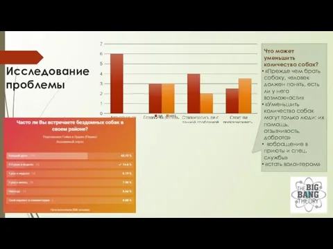 Исследование проблемы Что может уменьшить количество собак? «Прежде чем брать собаку,