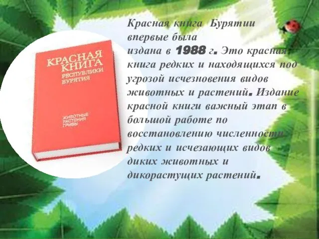 Красная книга Бурятии впервые была издана в 1988 г. Это красная