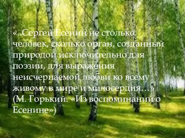 МАРТ «..Сергей Есенин не столько человек, сколько орган, созданный природой исключительно