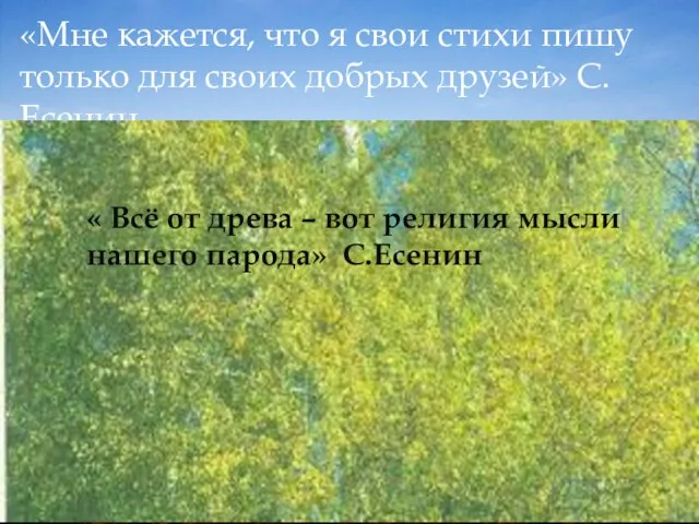 «Мне кажется, что я свои стихи пишу только для своих добрых