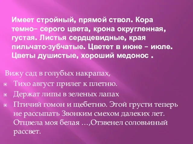 Имеет стройный, прямой ствол. Кора темно– серого цвета, крона округленная, густая.