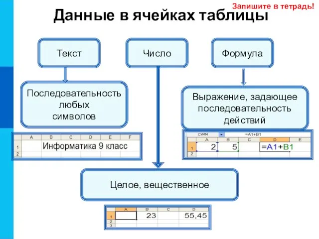 Данные в ячейках таблицы Число Последовательность любых символов Целое, вещественное Выражение,